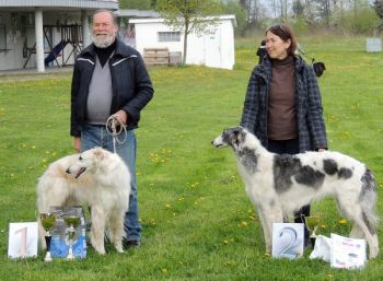 Krása a výkon Žilina